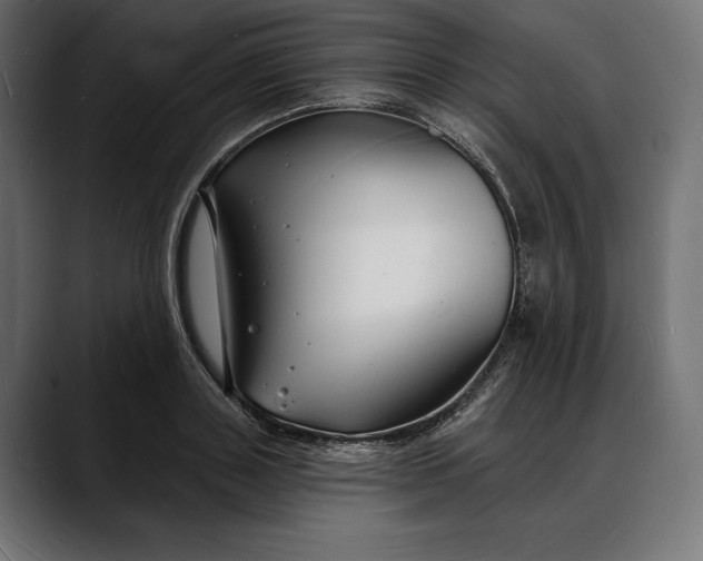 X0000088080843200705251407