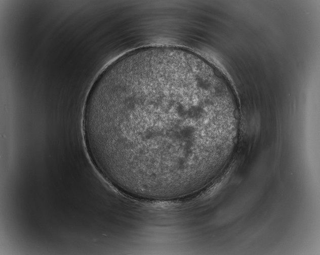 X0000088080847200705251407
