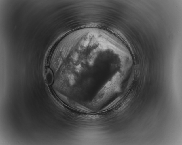 X0000088080851200705251407