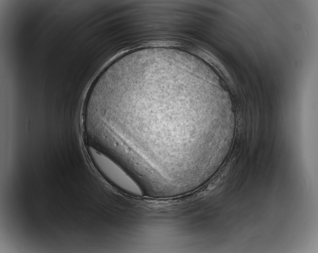 X0000088080852200705251407