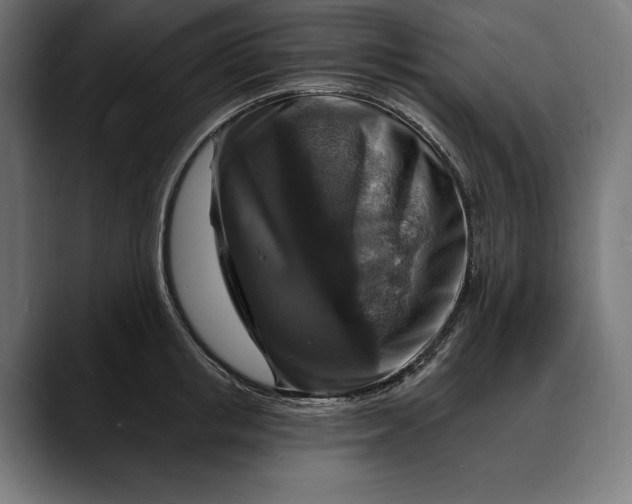 X0000088080853200705251407