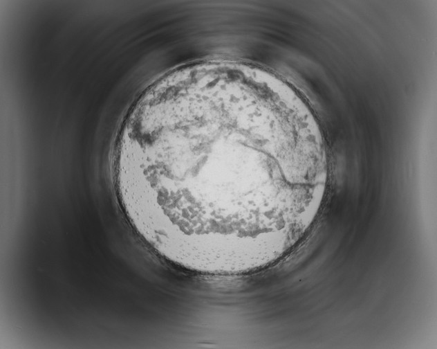 X0000088080856200705251407