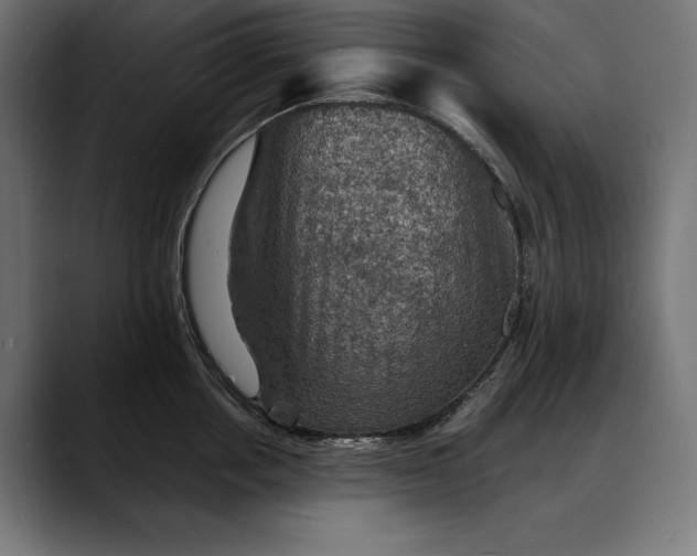 X0000088080858200705251407