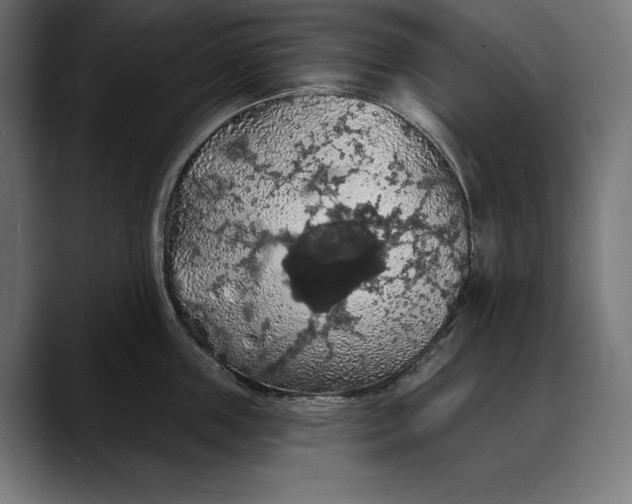 X0000088080859200705251407