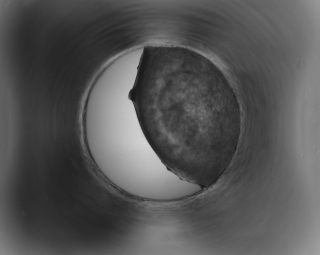 X0000088080864200705251407