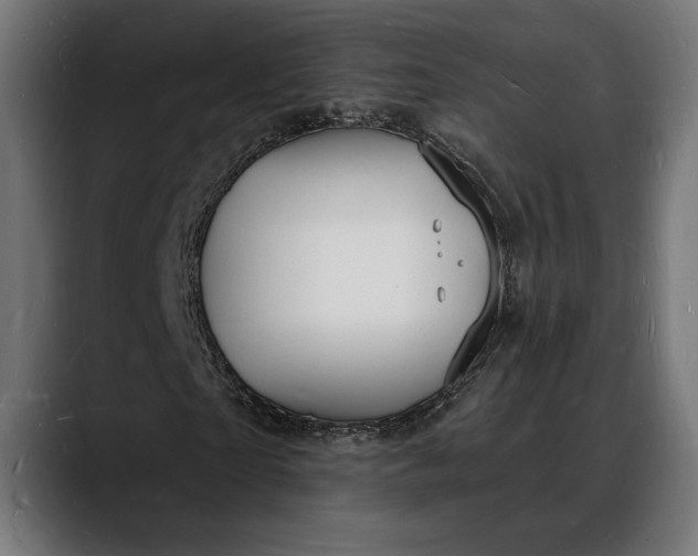 X0000088080865200705251406