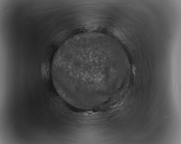 X0000088080867200705251406