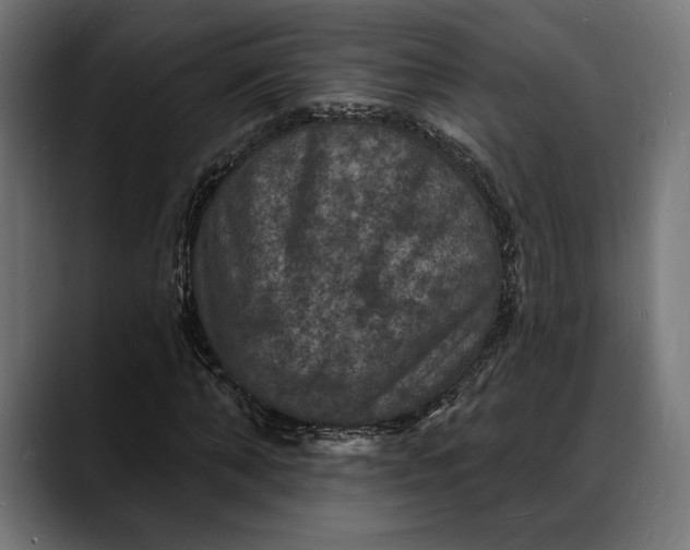 X0000088080870200705251406