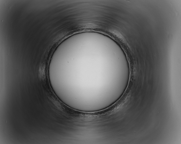 X0000088080873200705251406