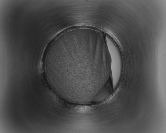 X0000088080876200705251406