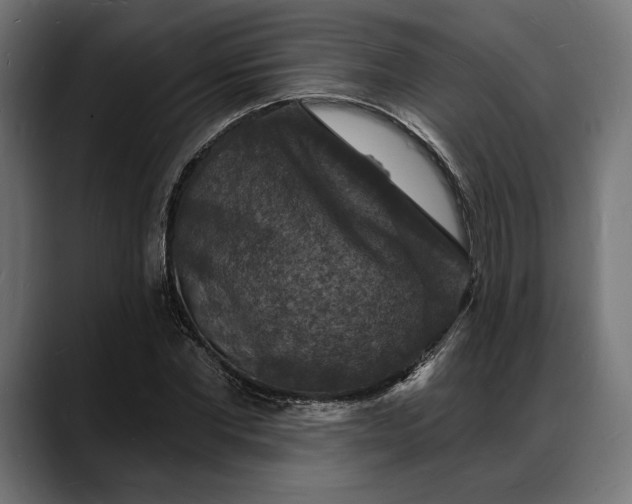 X0000088080877200705251406