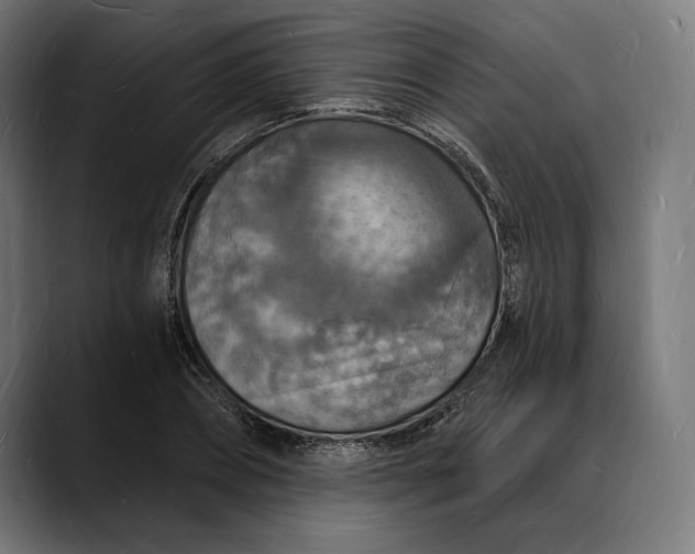 X0000088080882200705251406