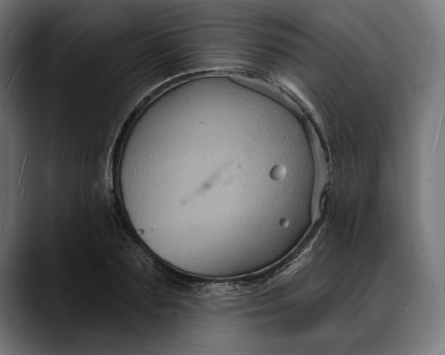 X0000088080883200705251406
