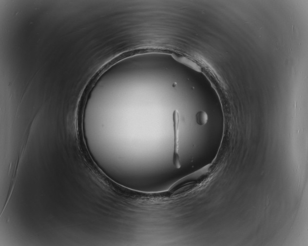X0000088080884200705251406