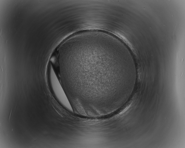 X0000088080885200705251406