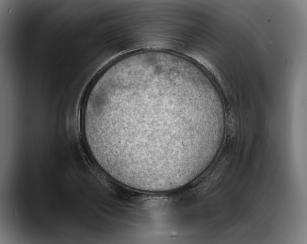 X0000088080886200705251406
