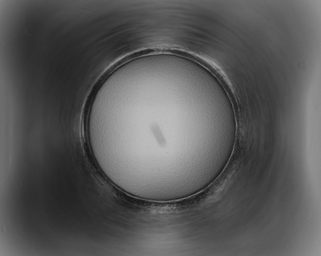 X0000088080887200705251406