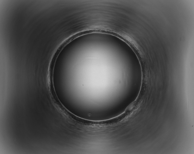 X0000088080888200705251406
