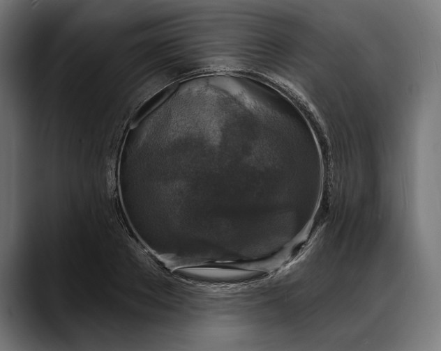 X0000088080889200705251406