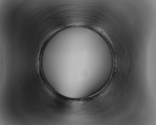 X0000088080890200705251406