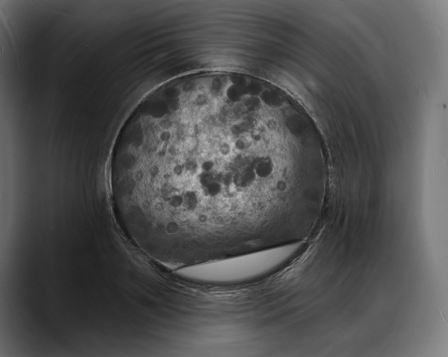 X0000088080891200705251406