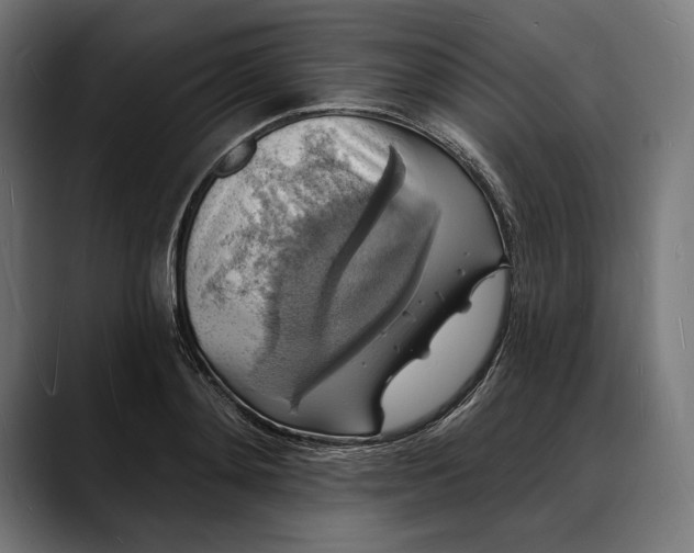 X0000088080892200705251406