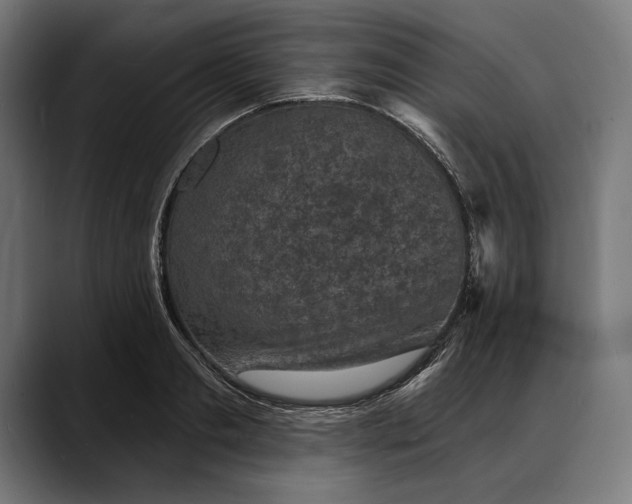 X0000088080893200705251406