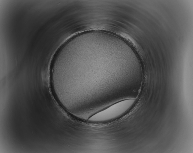 X0000088080894200705251406