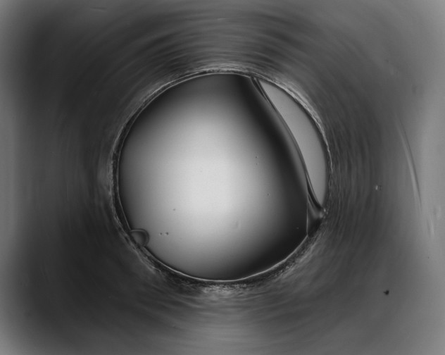 X0000088080898200705251406