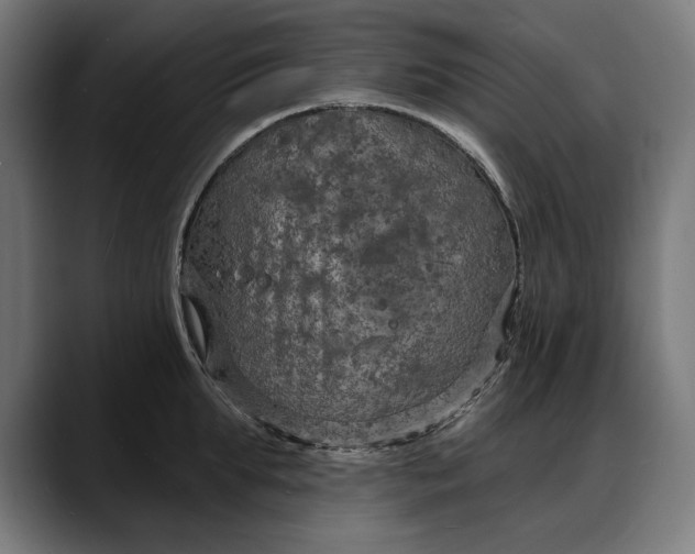 X0000088080903200705251406