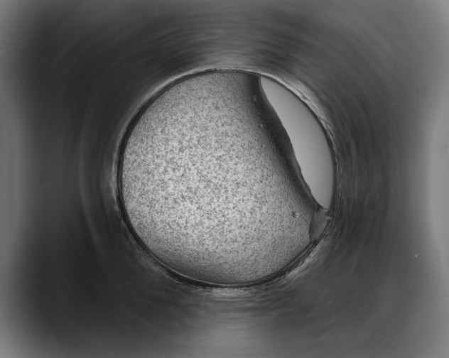 X0000088080904200705251406