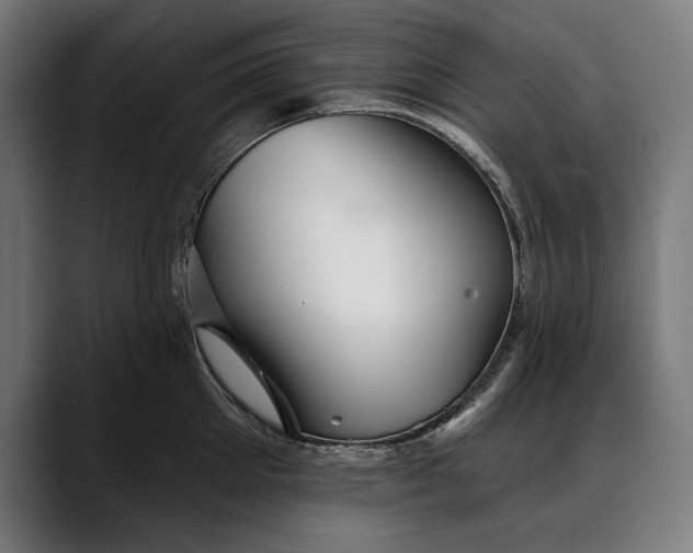 X0000088080905200705251406