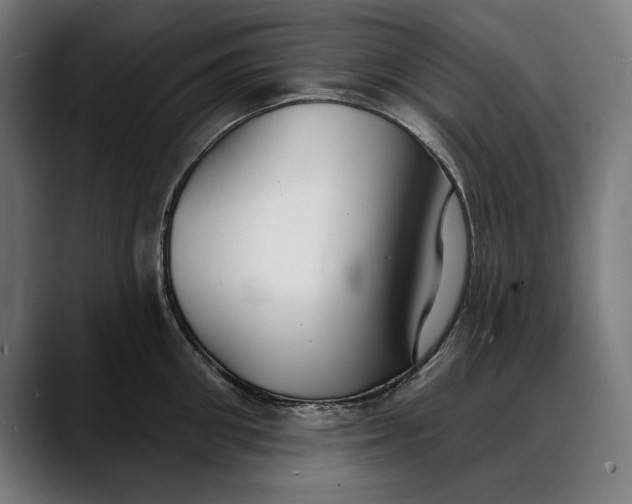 X0000088080906200705251406