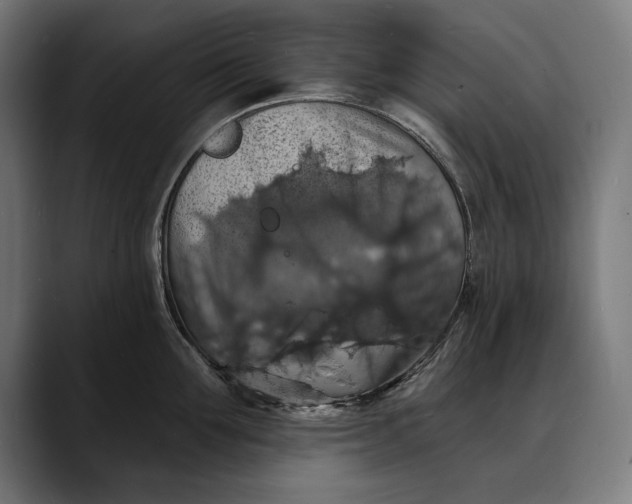 X0000088080907200705251406