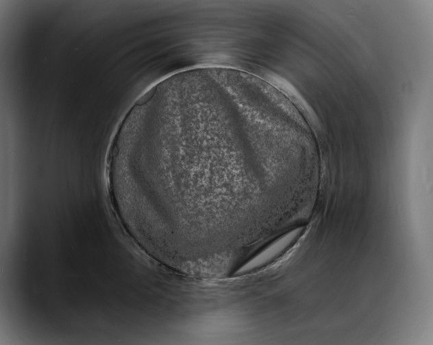 X0000088080908200705251406