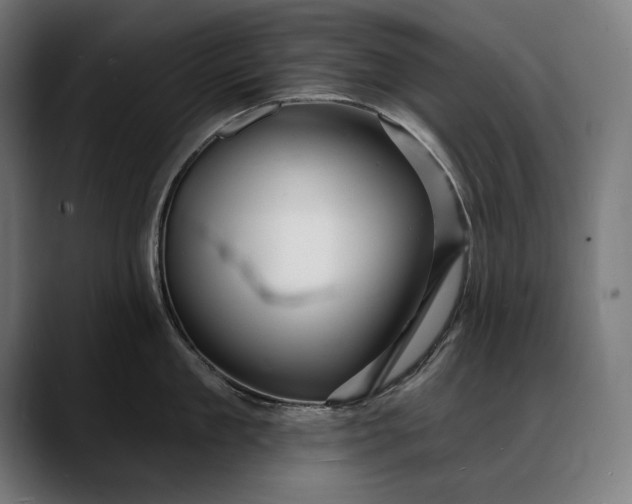 X0000088080909200705251406