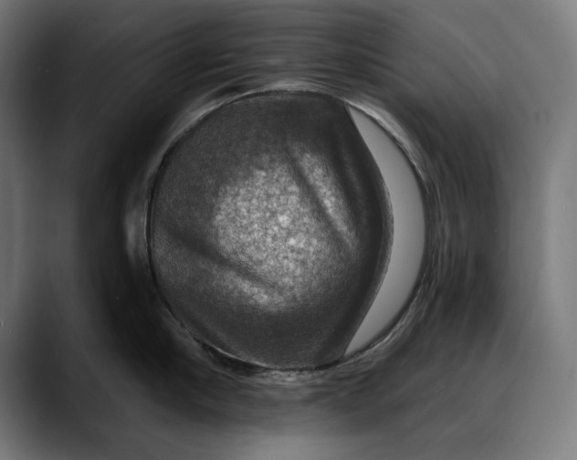 X0000088080910200705251406
