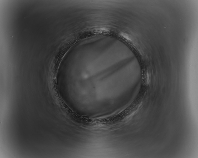 X0000088080913200705251405