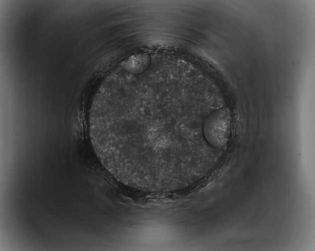 X0000088080918200705251405