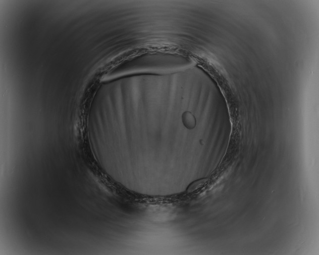 X0000088080920200705251405