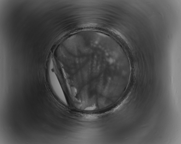 X0000088080921200705251405