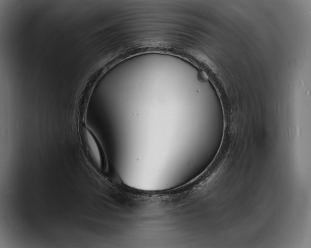 X0000088080922200705251405