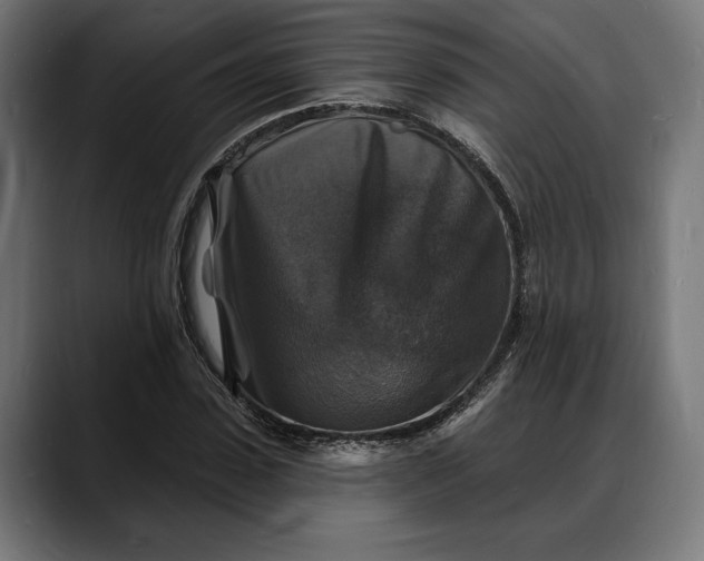 X0000088080923200705251405