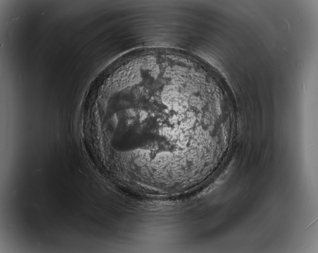 X0000088080925200705251405