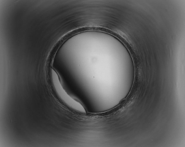 X0000088080926200705251405