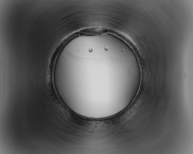 X0000088080927200705251405