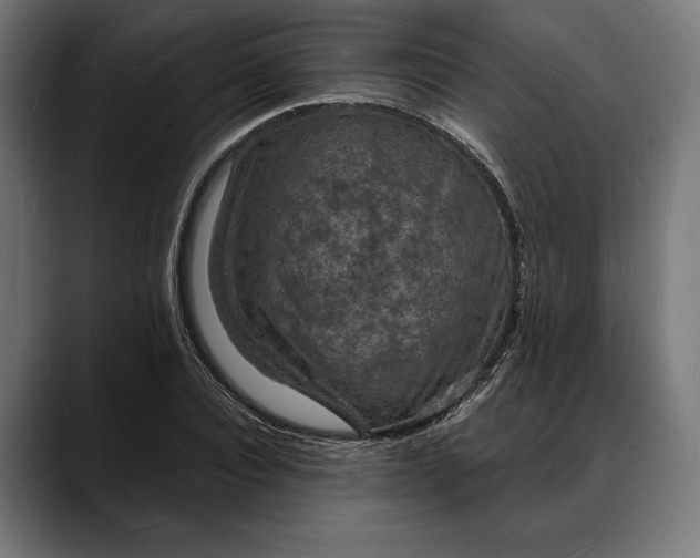 X0000088080928200705251405
