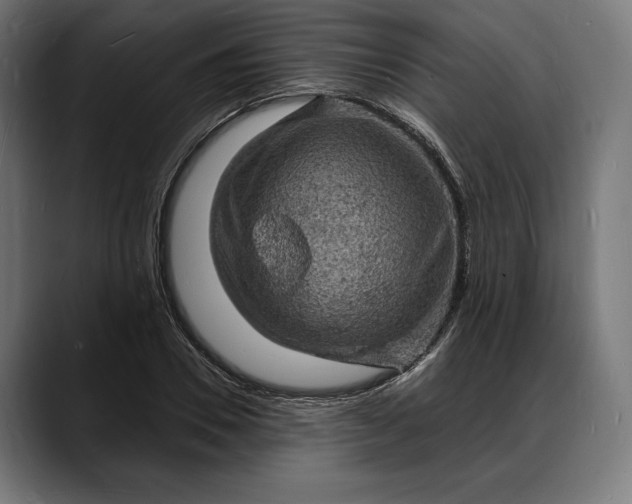 X0000088080930200705251405