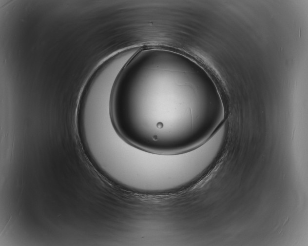 X0000088080932200705251405