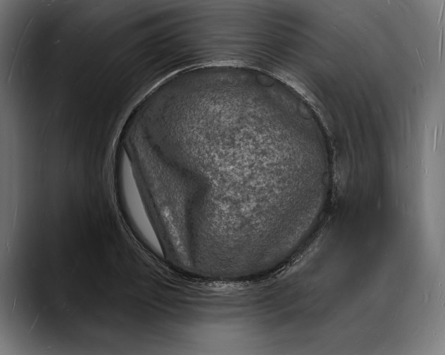 X0000088080933200705251405